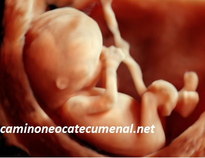 Ecografías antes de abortar, una necesidad para informar a la madre