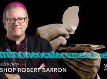 Biografía y listado de publicaciónes y libros del obispo Robert Barron